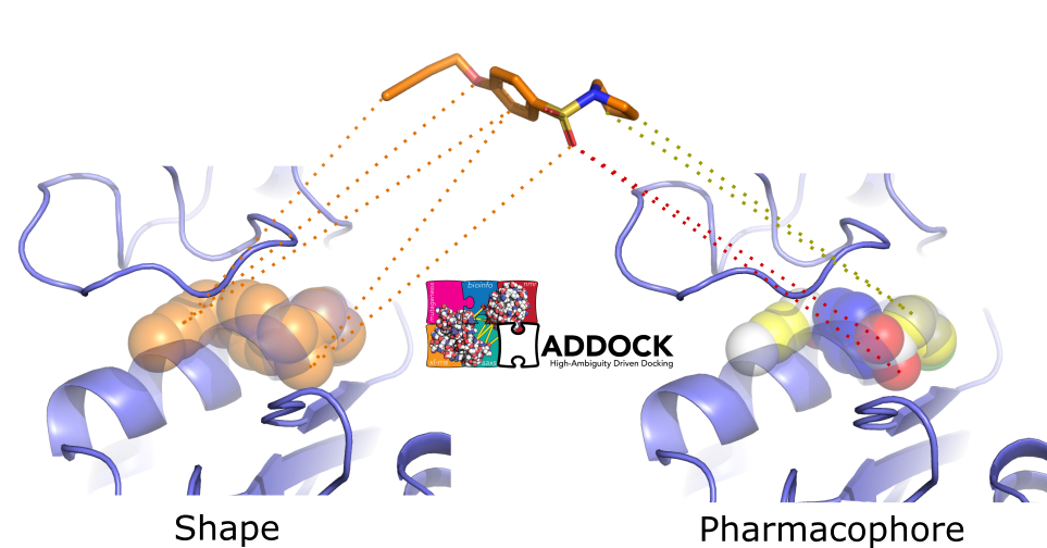 Shape-restrained ligand/protein HADDOCK docking